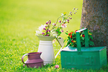 flowers in pot