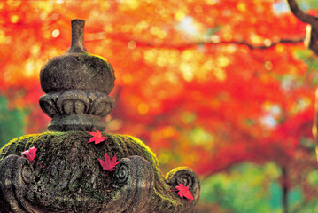 buddha statue with flower