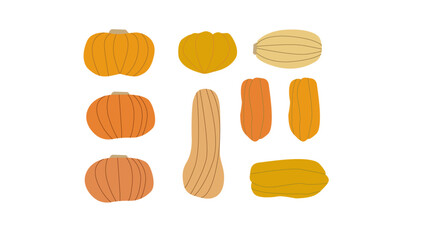 Pumpkins of different sizes, hand-drawn, ideal for posters, stickers