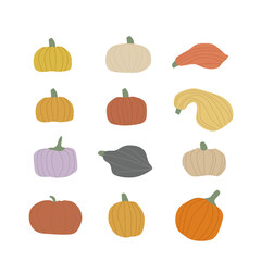 Pumpkins of different sizes, hand-drawn, ideal for posters, stickers