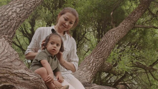 Medium shot of affectionate young mother playing with her little son with cute brown curls sitting on tree branch in park on warm sunny day