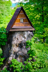 Fototapeta na wymiar house in the forest for animals and birds. Wooden bird house in the summer park. on an tree stump. Old wooden feeder for birds on a tree, empty bird's feeder caring about wild birds in cold season.