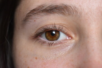 Fototapeta premium close up of a brown eye ball
