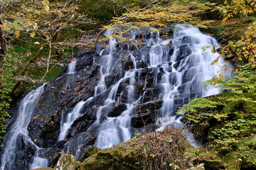 秋の江竜田の滝（福島県・鮫川村）