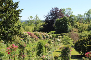 Paysage de campagnes françaises ainsi que des fleurs