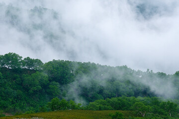 雲と森