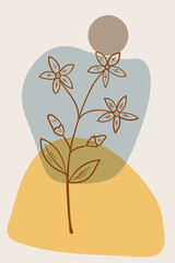 centaury, abstract, poster, minimal dd ww herb isol