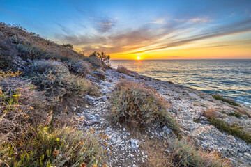 Coastal vegetation Cap Corse