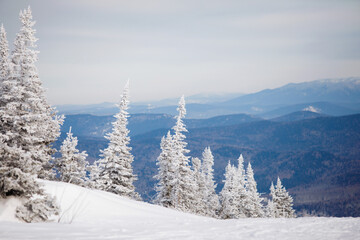 Winter mountain natural landscape.