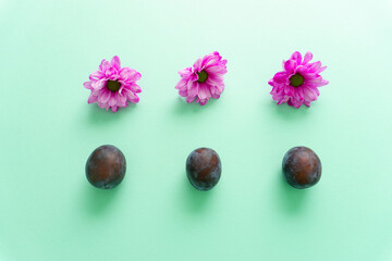 Beautiful arrangement of colorful, fresh purple daisy flowers and fresh, organic plums.