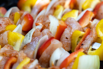 Raw shaslik skewers chicken breast