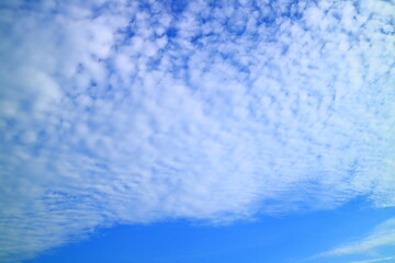 Fototapeta na wymiar 北海道　うろこ雲