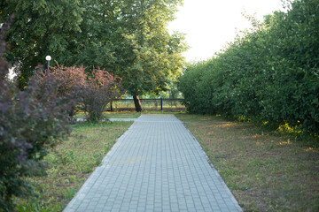 tile path around the trees