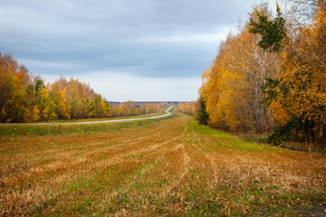 autumn landscape, yellow trees and fields and a road going into perspective against the sky with clouds
