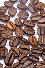 Coffee beans with uniform color