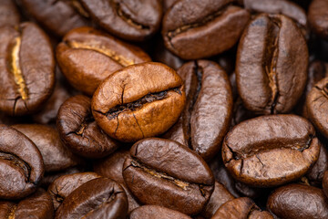 Coffee beans with uniform color