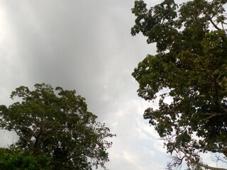 sun and clouds