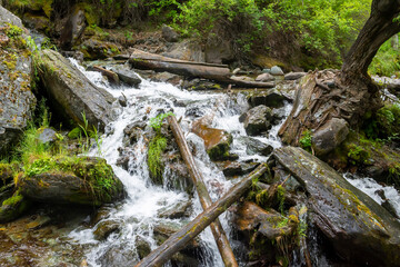 logs and boulders on the path of a mountain stream