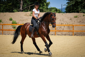 Horse with rider in training on the riding arena, recorded during the support phase while...