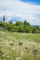 Fototapeta na wymiar Landscape with trees and field of chamomile flowers and old church in Lessinia, area of the prealps next to verona in Italy in Breonio, in summer
