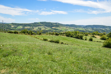 Fototapeta na wymiar Landscape with meadows and trees in Lessinia, area of the pre-alps next to verona in Italy at Breonio, in summer