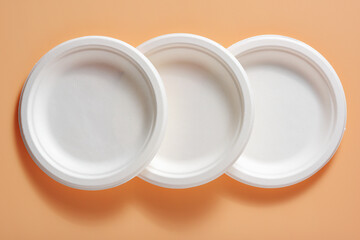 Biodegradable paper plates