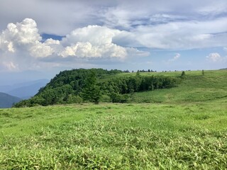 Scenery of Utsukushigahara Plateau in summer at an altitude of 2000m