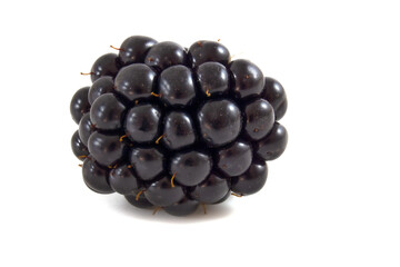 Blackberry isolated on white background