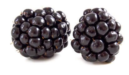 Fresh ripe blackberries isolated on white background. Berries up close.