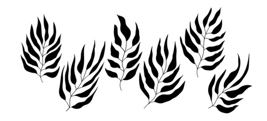 Floral set hand drawn black silhouette leaves. Cute isolated elements. Clip art for stationery, web design. Modern floral compositions. Vector illustration