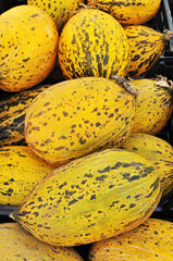 Melons are yellow with dark spots. Melons for sale. Background, texture, design.