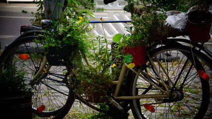 Fototapeta na wymiar bicycle in the street