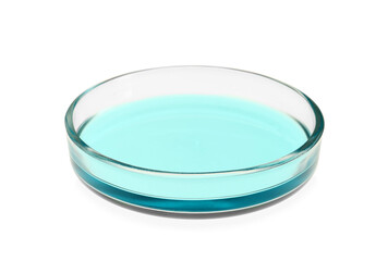 Petri dish with turquoise liquid isolated on white