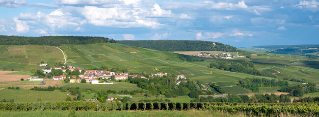 vineyards in marne valley south of reims in french region champagne ardenne