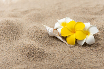 砂浜とプルメリアの花