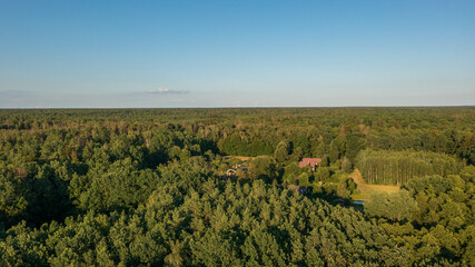 Polish part of Bialowieza Forest to east