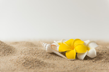 砂浜とプルメリアの花