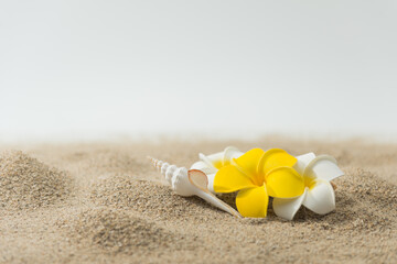砂浜とプルメリアの花