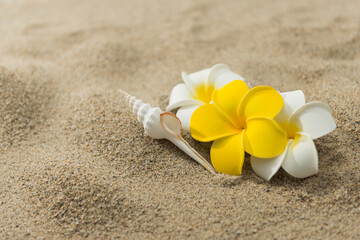 砂浜とプルメリアの花