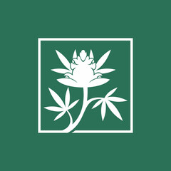 medium tree plant weed cannabis bud nug flower marijuana