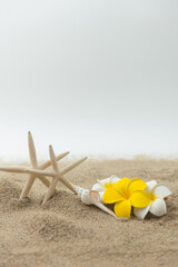 Fototapeta na wymiar 砂浜とプルメリアの花