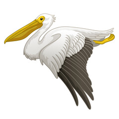 Flying Great white pelican in hand drawn style