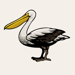 Pelican bird drawing