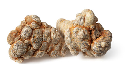 dried panax notoginseng isolated on whtie background