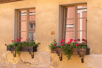 Fototapeta na wymiar window with flowers on the windowsill outdoor in old house. Kuldiga, Latvia Autumn