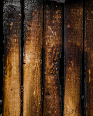 Burned wooden texture