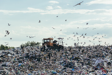 Junkyard Of Domestic Garbage In Landfill