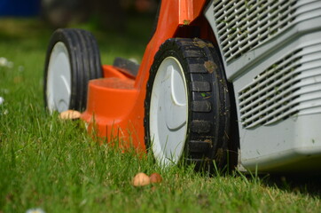 Hausmeisterservice Rasenmäher im Garten