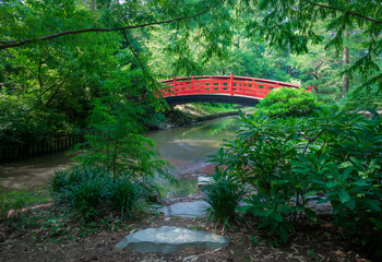 a bright red arced bridge contrasts with the deep green foliage in an oriental style garden