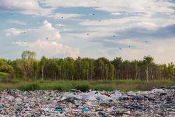 Large garbage dump against the backdrop of the forest, the landfill pollutes the environment